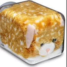 Kuvahaun tulos haulle bonsaikitten