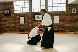 Image result for Kyu Shin Kan, Leicester Aikido