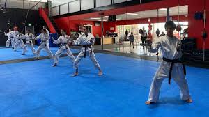 Image result for Precision Martial Arts