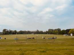 Image result for Fenton Cricket Club
