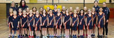 Image result for Tibberton Netball Club