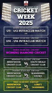 Image result for South Weald Cricket Club