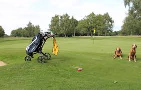 Image result for Harpenden Common Golf Club
