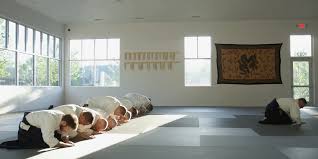 Image result for Harold Hill Aikido Club