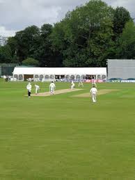Image result for Guildford Cricket Club