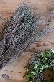 Image result for Thymian