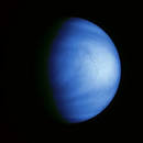 NSSDC Photo Gallery: Venus