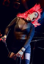 Kuvahaun tulos haulle bonsaikitten