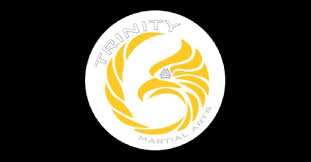 Image result for TRINITY KARATE ACADEMY