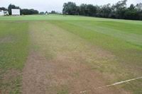 Image result for Hawk Green Cricket Club