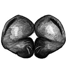 Attēlu rezultāti vaicājumam “Xysticus bifasciatus female”