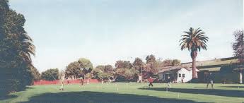 Image result for Epsom Cricket Club