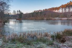 Image result for Cannock Cc