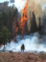 Image result for Hotshots