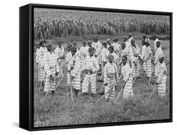 Image result for Freck Chain Gang