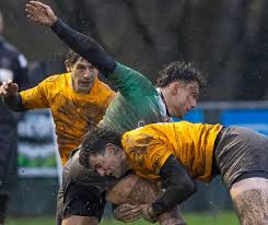 Image result for Winchester Rugby Football Club Ltd