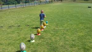 Image result for SmartRugby Academy