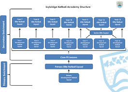Image result for Plymouth Civil Service Netball Club