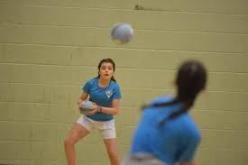 Image result for Hartlepool Volleyball Club