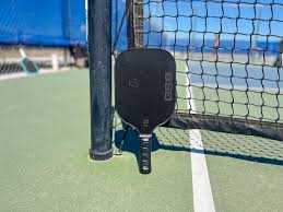 Image result for Gosport Pickleball Club