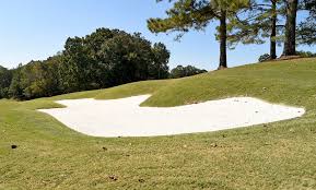 Image result for Overton RFC Club