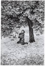 Image result for edouard boubat