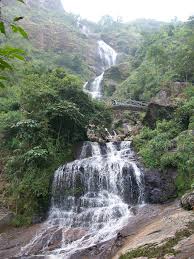 Image result for silver sa