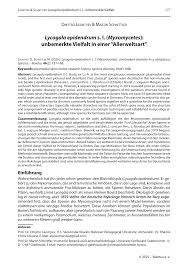 Attēlu rezultāti vaicājumam “Lycogala sphaeroconicum”