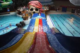 Image result for Borough Of Barnsley Swimming Club