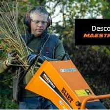 Image result for marolin tehron