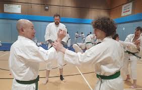 Image result for Oxford University Shorinji Kempo Club