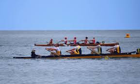 Image result for Southampton Amateur Rowing Club