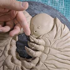 Attēlu rezultāti vaicājumam “Ceramica pisi larva”