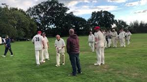 Image result for Downe Cricket Club