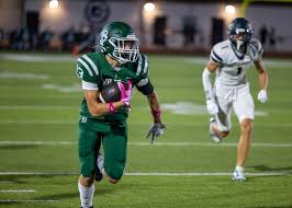 Image result for Ukc Falcons