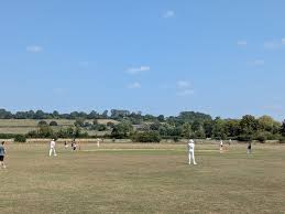 Image result for Buckhorn Weston Cricket Club