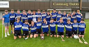 Image result for Patrick Sarsfield Gaelic Athletic Club
