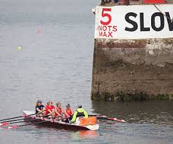 Image result for Torquay Rowing Club