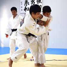 Image result for Halewood Inclusive Judo Club