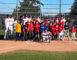 Image result for Elmbridge Girls` Little League