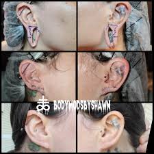 Image result for ear mod