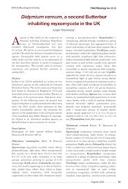 Attēlu rezultāti vaicājumam “Didymium tussilaginis”