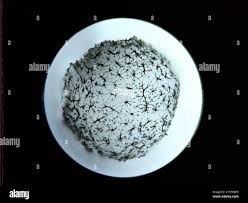 Attēlu rezultāti vaicājumam “Cribraria intricata”