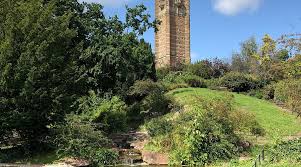 Image result for ninetree hill bristol