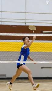 Image result for Delco Electronics Senior Badminton Club