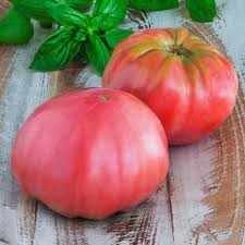 Afbeeldingsresultaat voor Pink Brandywine tomato