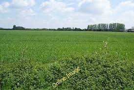 Image result for Nunwick Cc