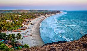 Image result for goa beaches