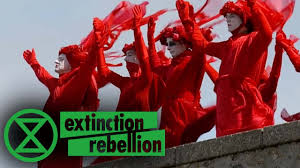 Image result for Reddish Rebels