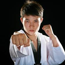 Image result for Swansea Taekwondo Club